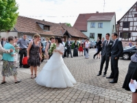 DSC_4389